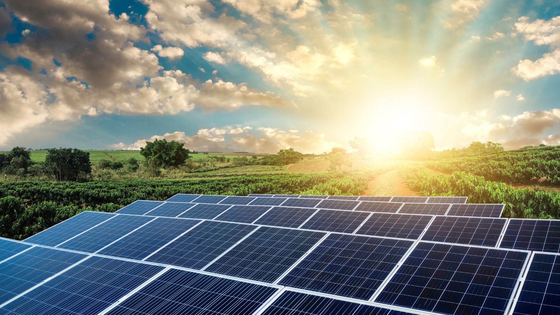 ILNET Solar Energy